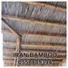 IRAN BAMBOO REED