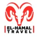 محمد رفاعي 