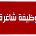 مطلوب موظيفن مبيعات وترتيب