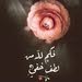 member16039238487
