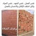 Ahmad