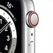 Apple Watch Series 6 40mm gps cellular silver stainless steel
