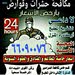 مكافحة حشرات وقوارض