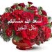 ابو مؤيد