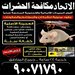 مكافحة حشرات وقوارض