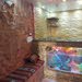 taher52824114